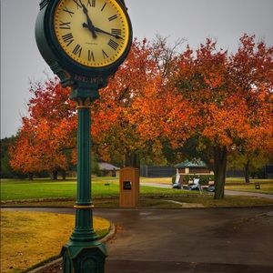 Meet your Posher, Steve